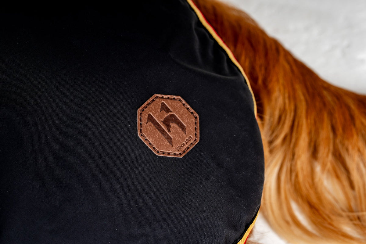 Ireland Newmarket Dog Coat XXS-M