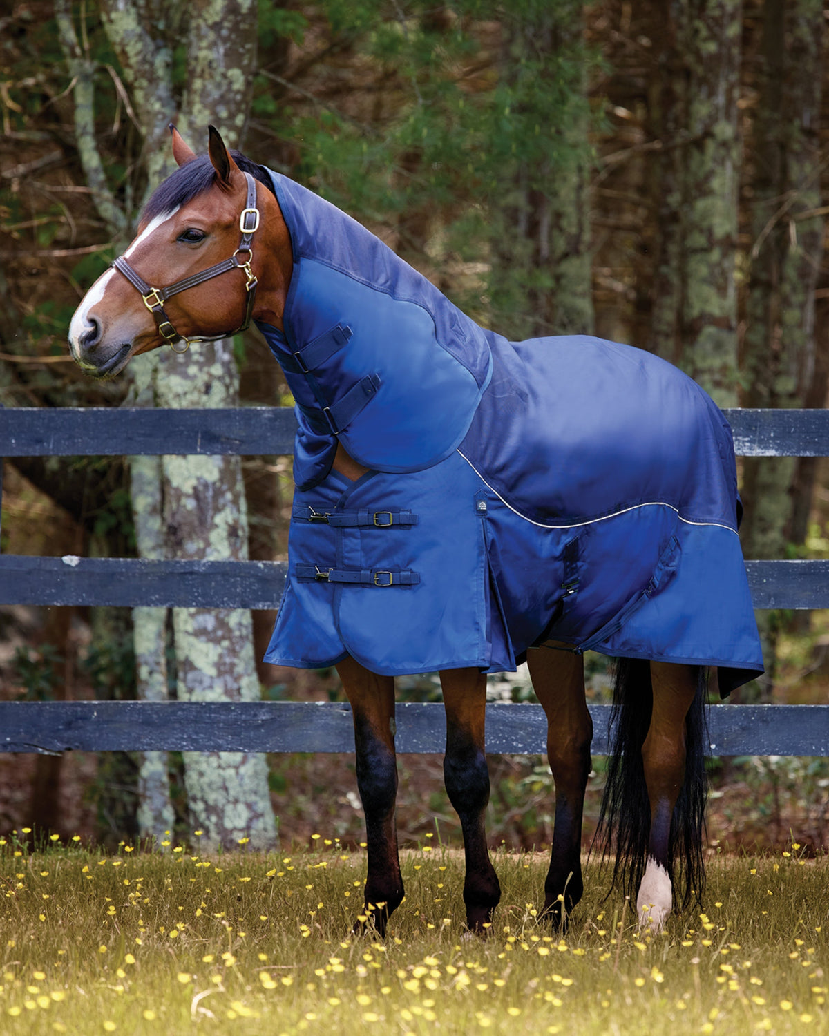 Heavyweight Turnout Blanket