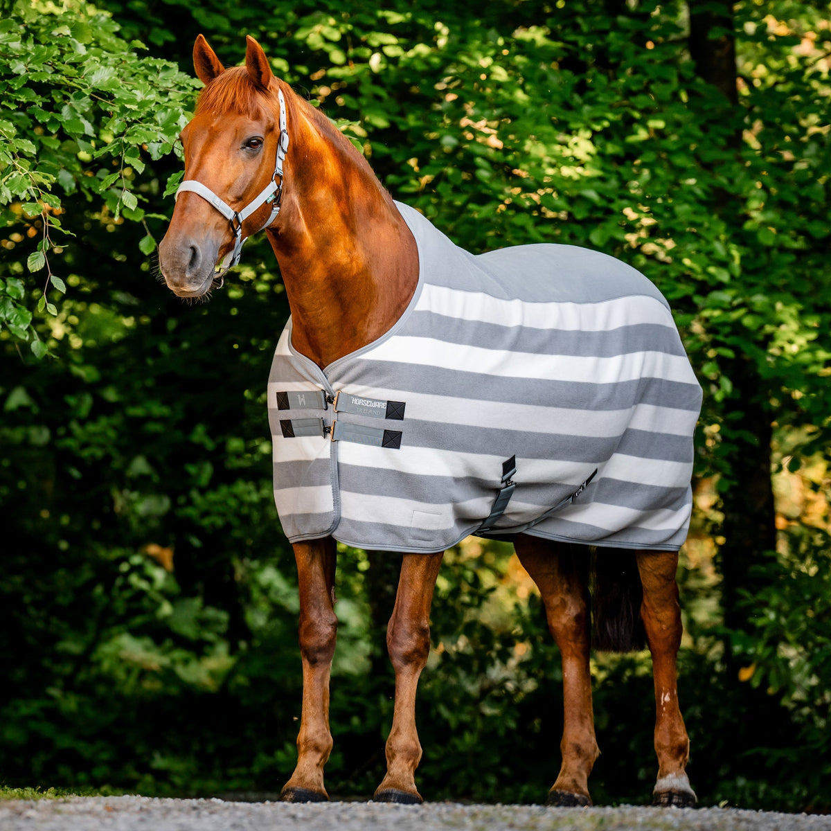 Ireland Newmarket Fleece Cooler
